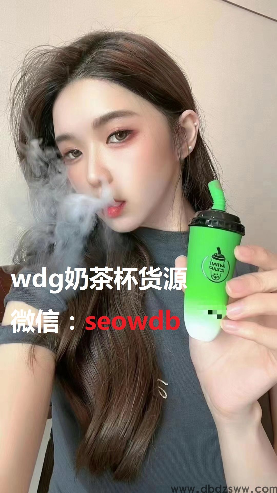 wdg迷你杯价格贵吗？在哪里买？